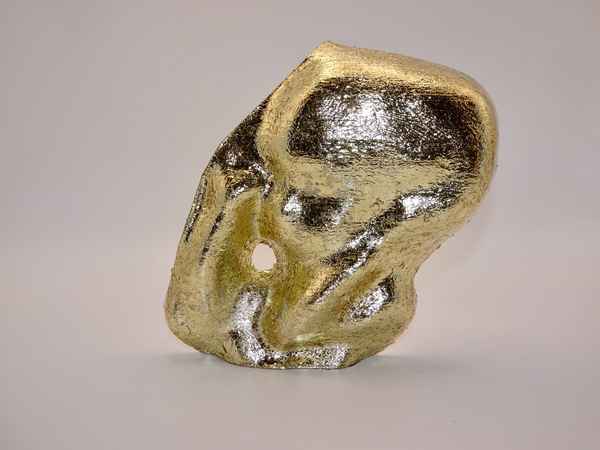 Gold finish portrait