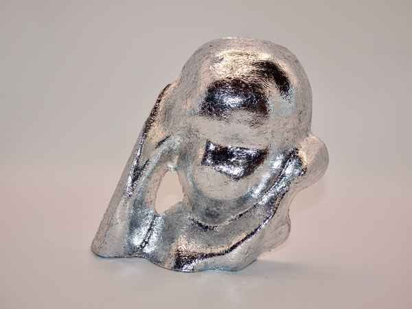 Silver finish portrait
